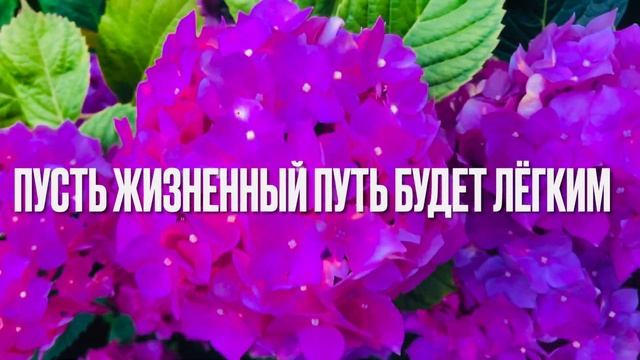 С Днём Молодежи 27 Июня День Молодежи Красивое Поздравление С Днём Молодёжи