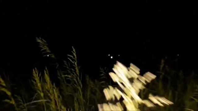 Ночной соловей смотреть онлайн