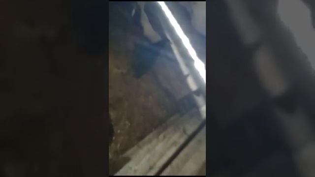 Приморский край, Спасск дальний. вода прибывает. Правительство не видно на лодках.Люди остались одн смотреть онлайн