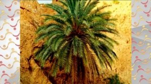 АЗН  Биология.  Домашнее животное лошадь