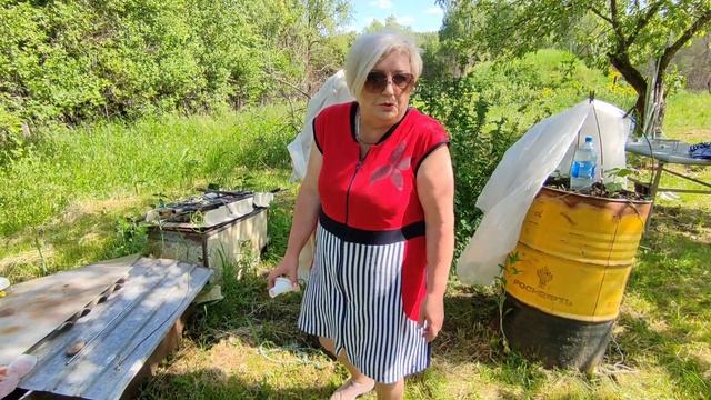 Весёлые дачницы ?? смотреть онлайн