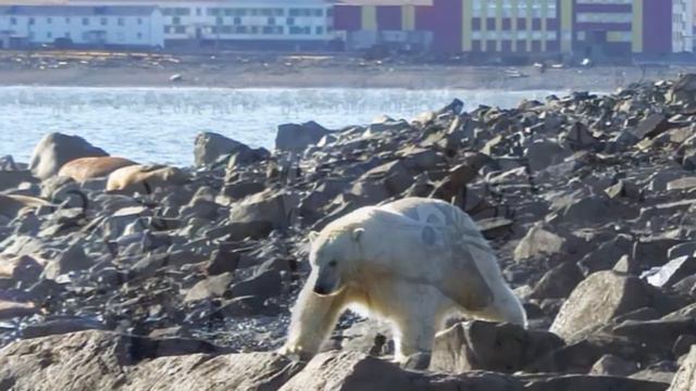 Моя срочная служба смотреть онлайн