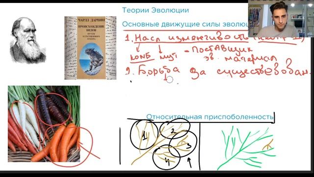 Теория Дарвина. Возникновение видов | Биология ЕГЭ смотреть онлайн