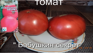 томат Бабушкин секрет.mp4