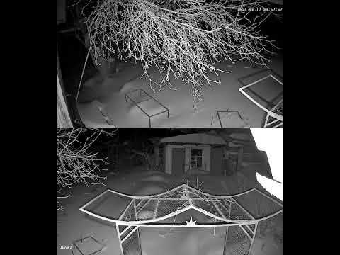 Куница 1 смотреть онлайн