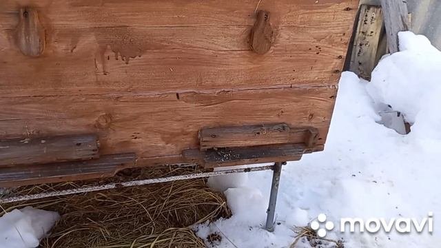 зимовка пчел 03.03.22(подкормка,утепление)