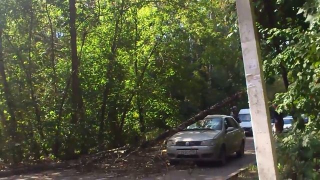 Что такое НЕ ВЕЗЕТ и никак с ним не поборешься.