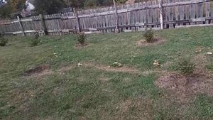 Вентиляция погреба и обзор участка