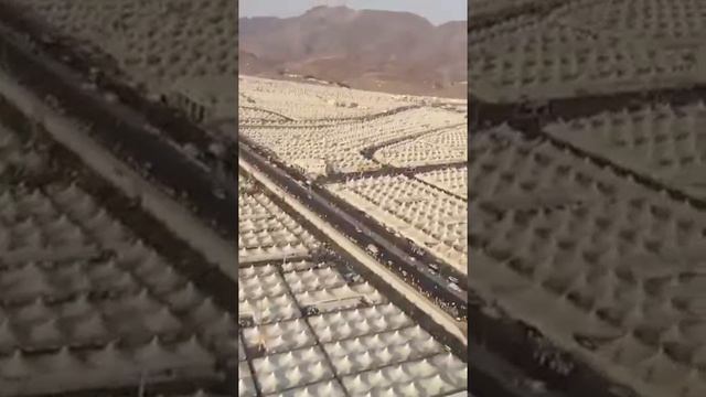 11 июля 2022 г. смотреть онлайн