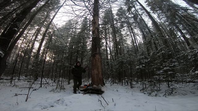 ВЫЖИВАНИЕ В ЛЕСУ ЗИМОЙ - ТОПОР против БЕНЗОПИЛЫ | ДОБЫТЬ ОГОНЬ, ДРОВА, УКРЫТИЕ В - 20 | ЖИЗНЬ В ЛЕС