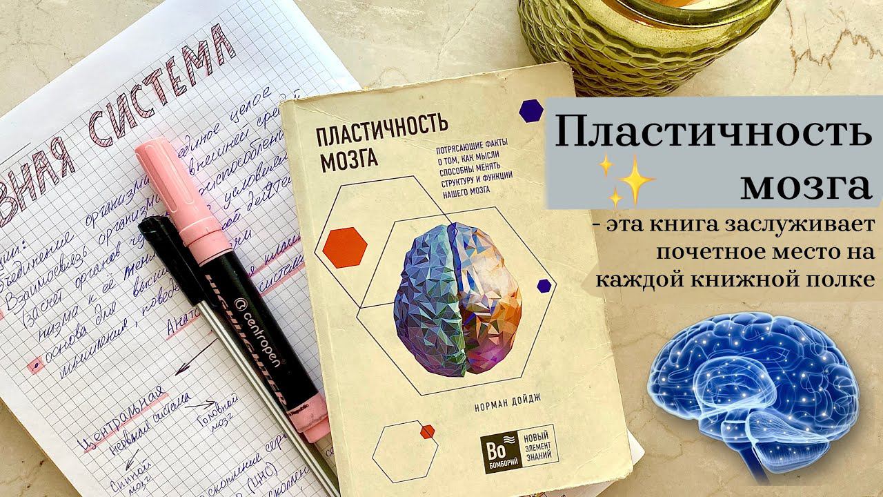 Пластичность мозга Норман Дойдж / Книги по психологии / неврология