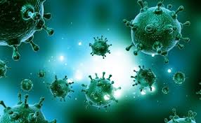 Человечество под властью бактерий. смотреть онлайн