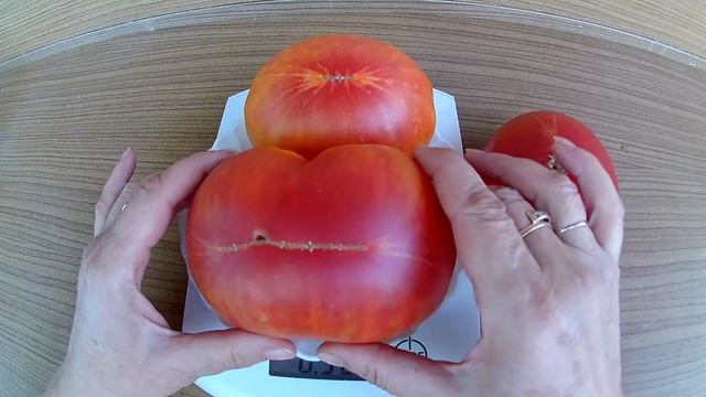 Northern lights. Томат Северное сияние смотреть онлайн