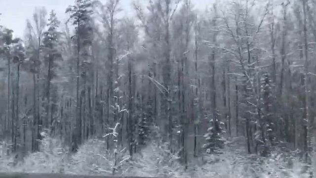 Влог! Поездка в Мегу! смотреть онлайн