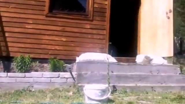 Немного с дачи смотреть онлайн