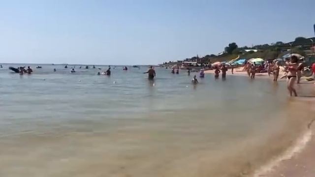 Кириловка 24.07.2021! Центральный пляж забит отдыхающими! Медуз после дождя не стало! Все Купаться! смотреть онлайн