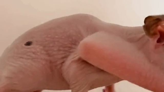 1000002526.mp4 смотреть онлайн