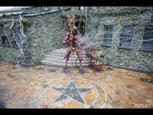 сказочный  дом  внутренний  интерьер.  Белоруссия.