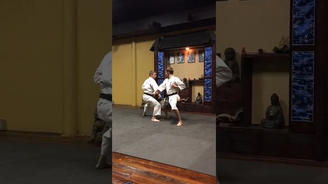 Ippon kumite go 5