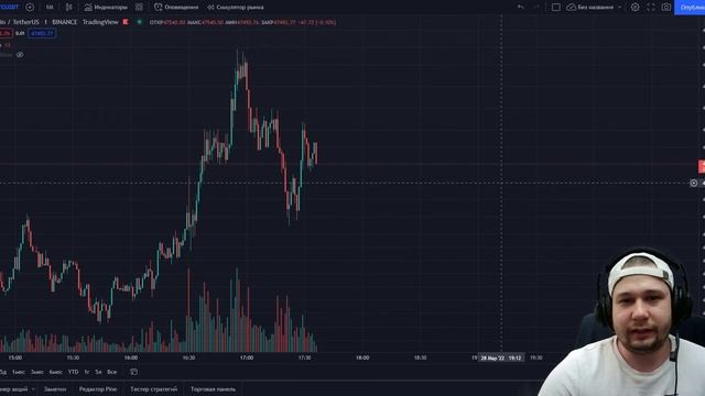 КТО ТАКИЕ КИТЫ И ХОМЯКИ НА БИРЖЕ? | ПОЧЕМУ ИХ ТАК НАЗЫВАЮТ? Криптовалюта для начинающих, биткоин