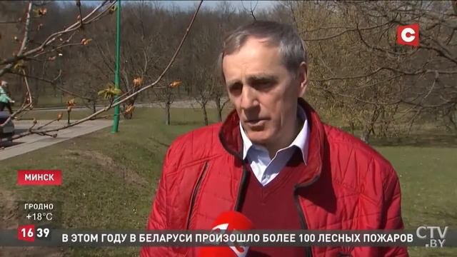 К юбилею Комитета госконтроля: памятную аллею из ясеней заложили в парке Победы в Минске