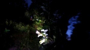 Передняя Звездочка цепи 530 на 16 зубьев для квадроцикла! Квадроцикл гладиатор f200