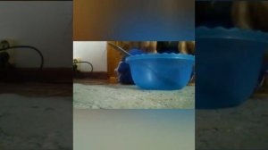 Слайм из геля для душа и соль что за слайм!!