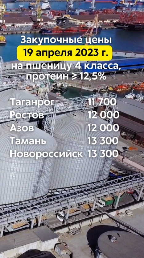 Закупочные цены 19/04/2023г. на пшеницу 4 класса (протеин ≥ 12,5%) в портах Азовского и Чёрного моря