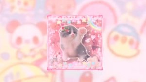 Chipi Chipi Chapa Chapa | (SPED UP)