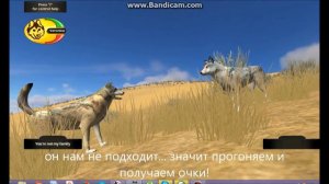 Wolf Quest 1 серия"ГДЕ МОЙ ПРЫНЦ?!"
