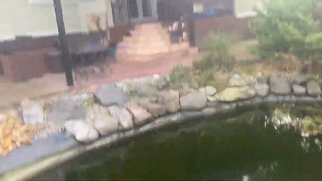 Варька и Дарька.  Первое знакомство и выход в свет. смотреть онлайн