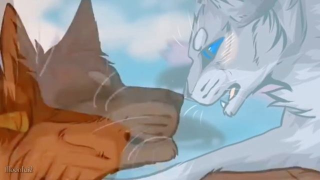 ?Психушка|Желудь и Синяя Звезда? #warriorscats #animation смотреть онлайн