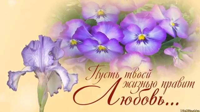 Любимой Женщинам с добрым утром!! смотреть онлайн