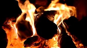 Жаркий огонь полыхает в камине ...