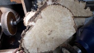 Березовый кап сбор 2. Распил. часть 2 красата