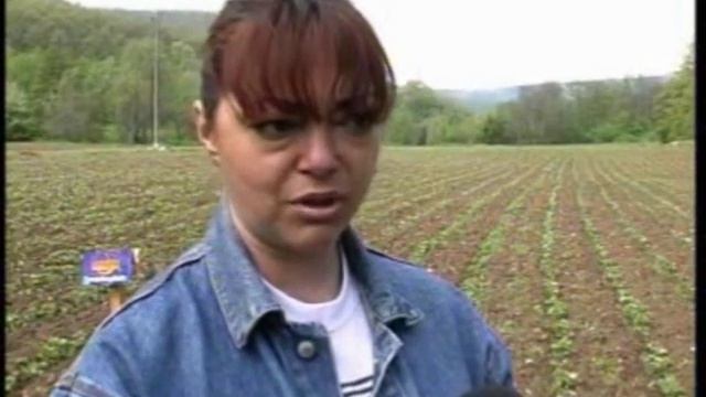 Технологии: Посадка клубники и малины смотреть онлайн