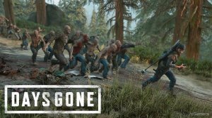 Орда с горы О'Лири | Days Gone