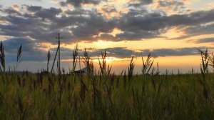 Озеро Алаколь