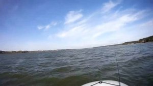 Гидра 310 на БЗ