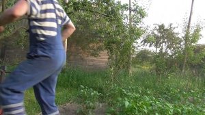 окучник картофеля, мотоокучиватель с двигателем от бензокосы, распашник картофеля