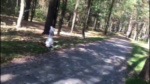 Через Лыткаринский лес к водоему.🌲🌳