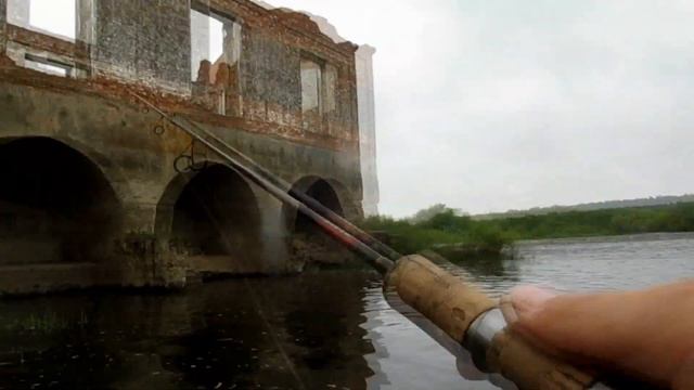 Такие разные родные водоёмы! смотреть онлайн