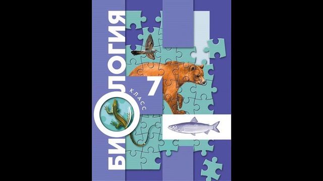 §47 Годовой жизненный цикл и сезонные явления в жизни птицы смотреть онлайн