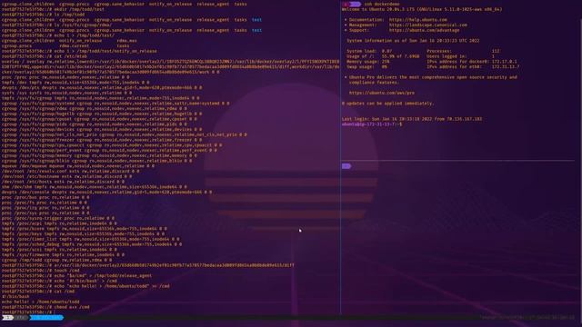 docker container escapes смотреть онлайн