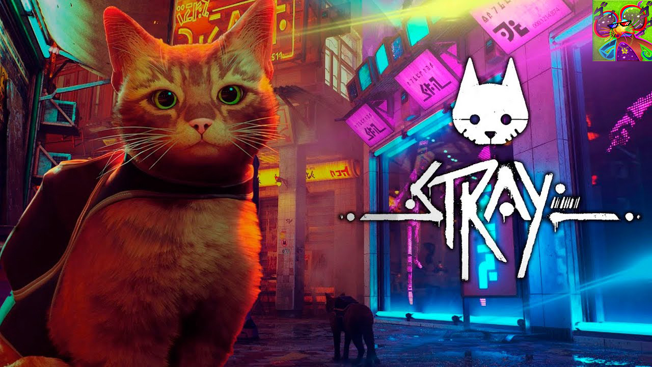The stray cat of belheim