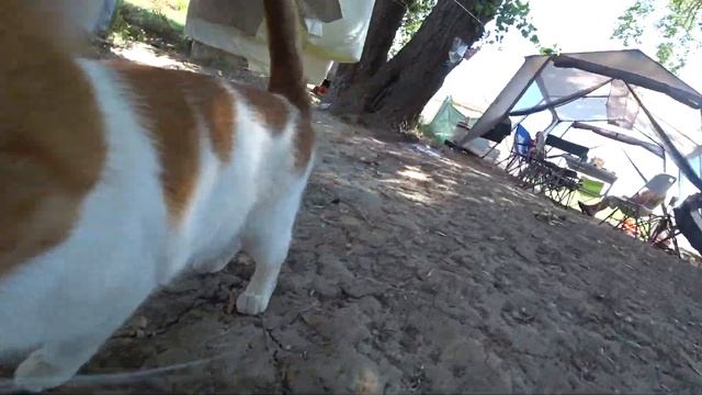 Отдых и рыбалка Астрахань. Ахтуба, Харабали.