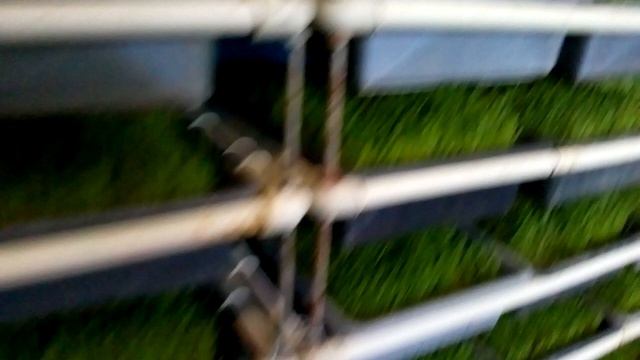 Проращиватель зерна для корма. смотреть онлайн