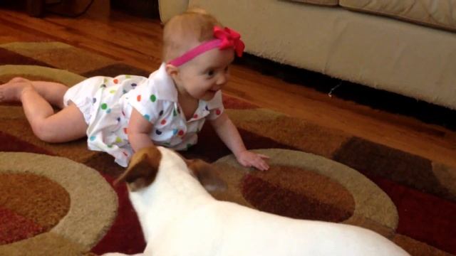 Buddy's Baby Crawling School смотреть онлайн