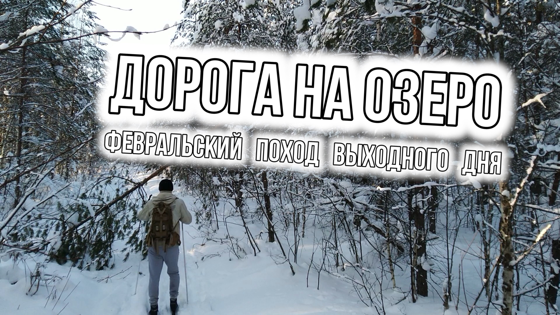 ДОРОГА НА ЗАМЁРЗШЕЕ ОЗЕРО | ФЕВРАЛЬСКИЙ ПОХОД ВЫХОДНОГО ДНЯ | СОЛНЕЧНАЯ ЛЫЖНЯ