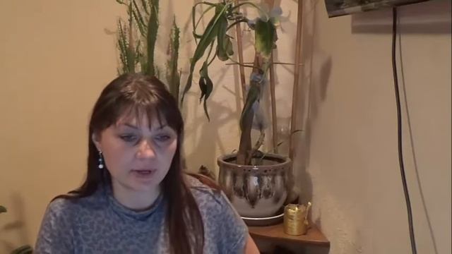 Король мечей прямой и перевернутый Придворные арканы в школе Золотого таро